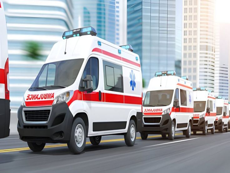 Transport to Treatment Fund photo 2
