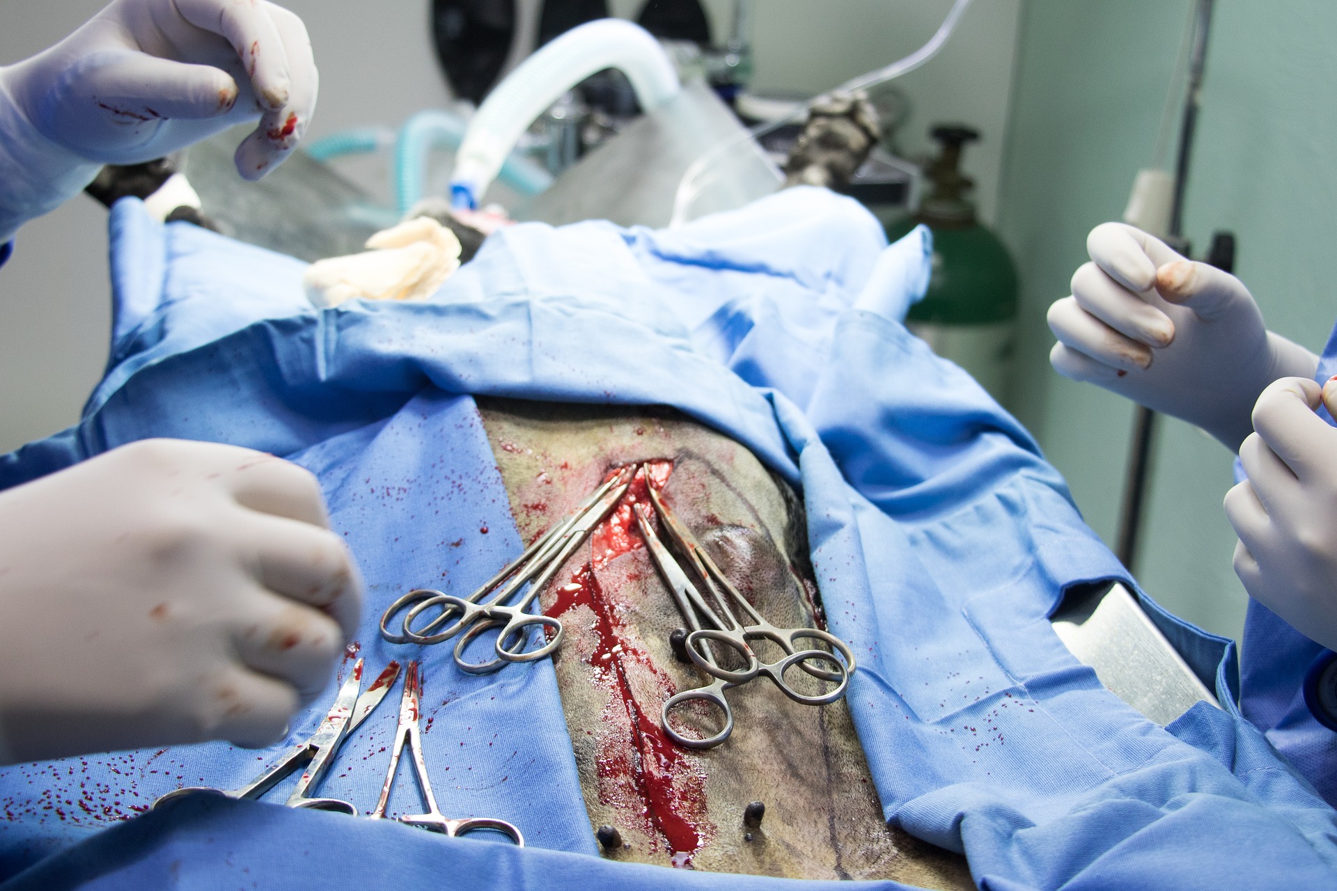 Urgent Surgery Support for Musa photo 1